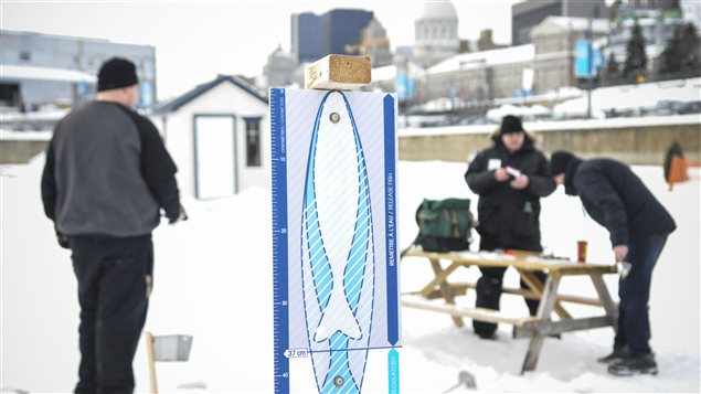 Le site de pêche sur glace dans le Vieux-Montréal  Photo :  Radio-Canada/Marie-Eve Maheu